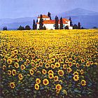 Steve Thoms Sunflowers Field painting